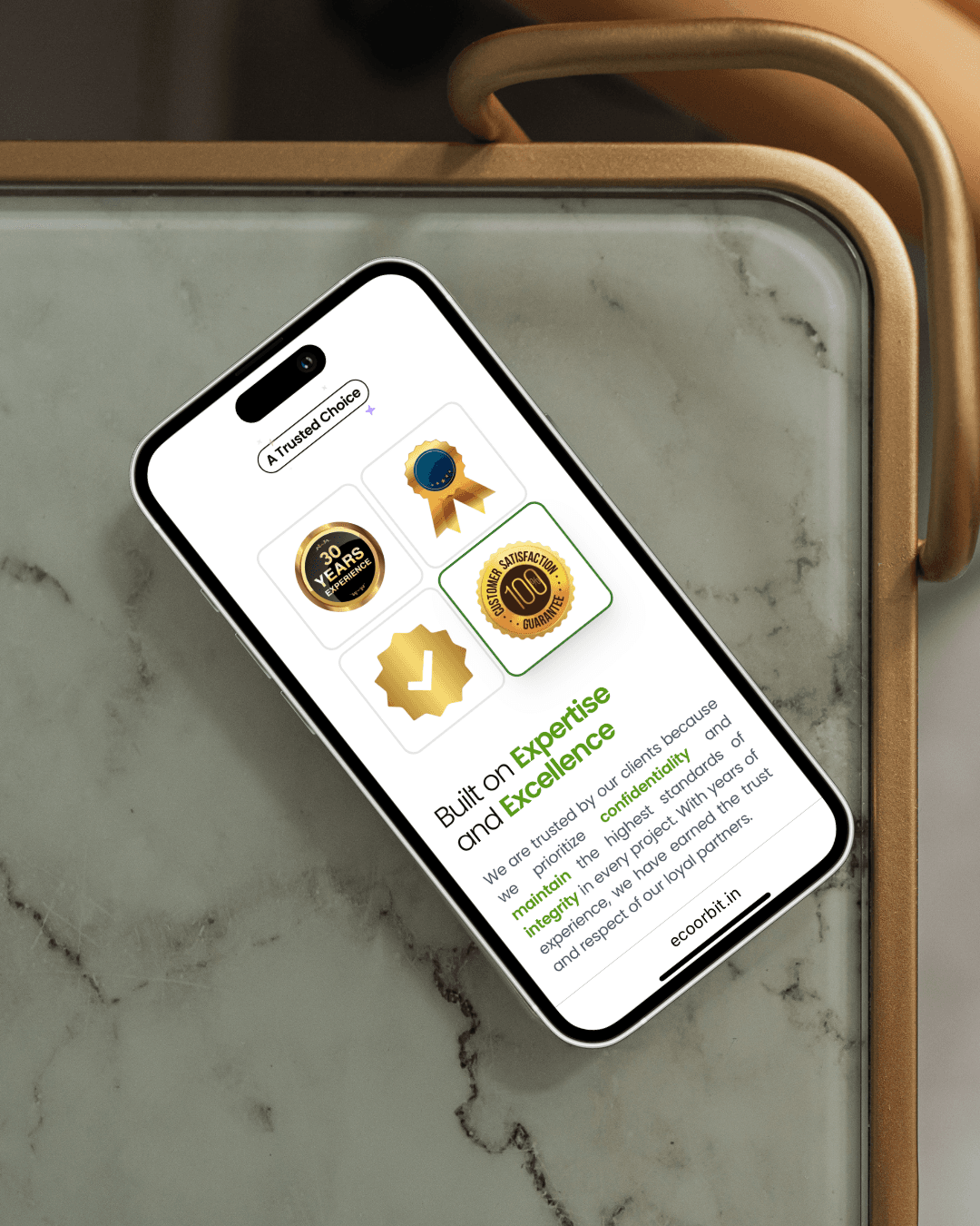 eco orbit website mockup